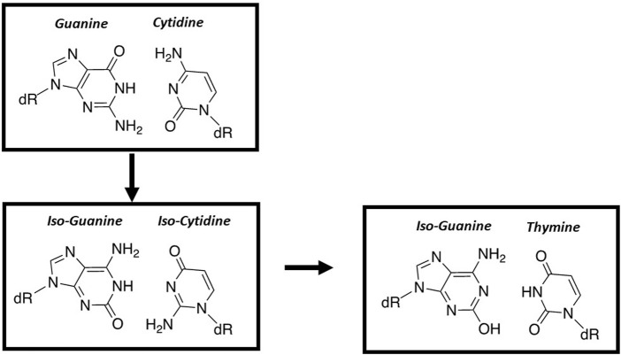 FIGURE 9