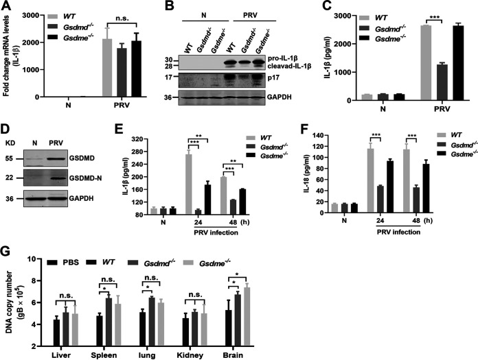 FIG 11