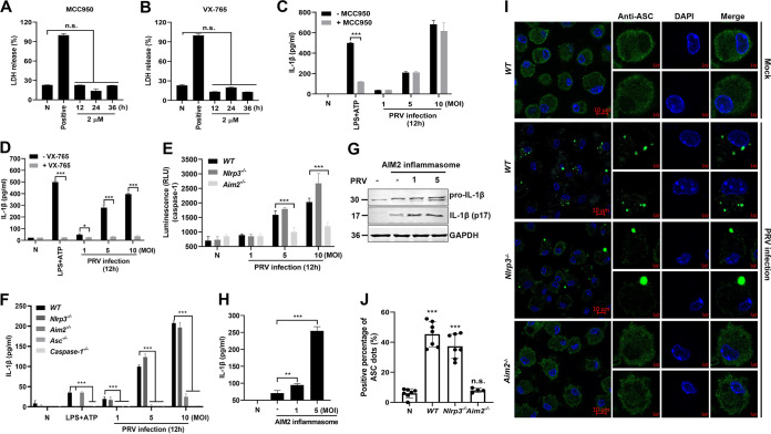 FIG 6