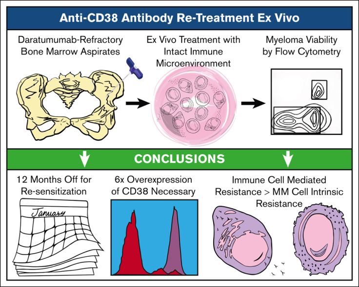 graphic file with name BLOODA_ADV-2023-010162-ga1.jpg