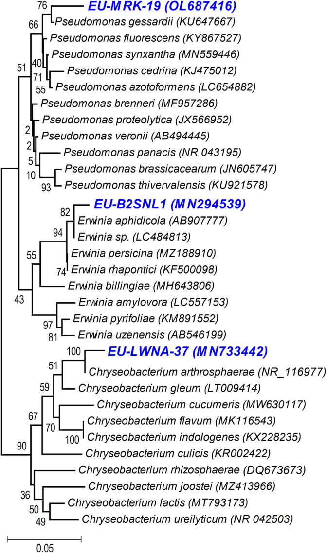 Figure 1