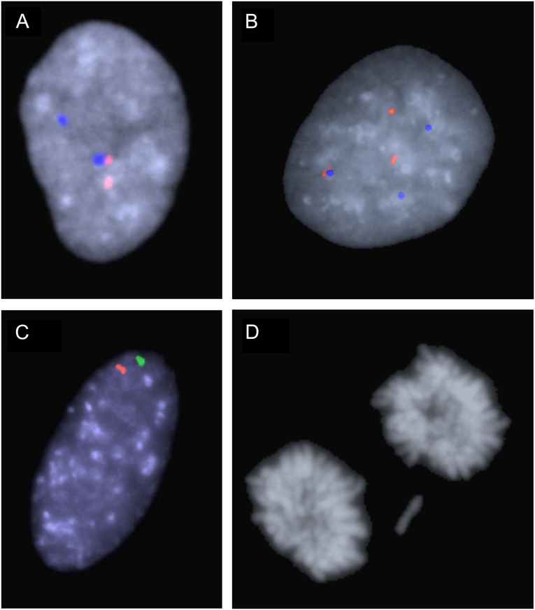 Fig. 2.