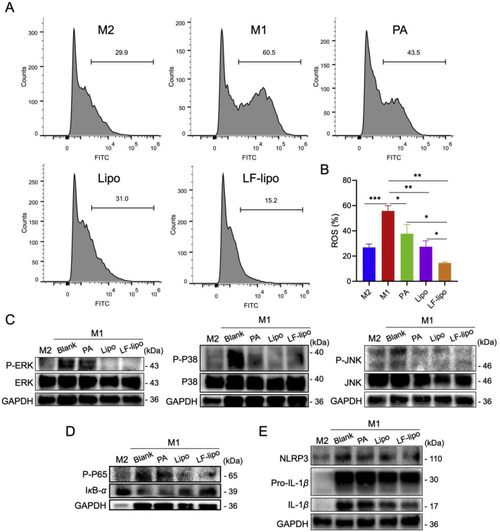 Figure 4