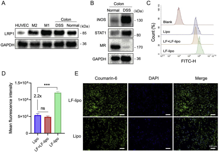 Figure 2