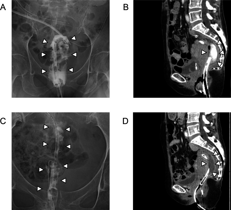 Fig. 3