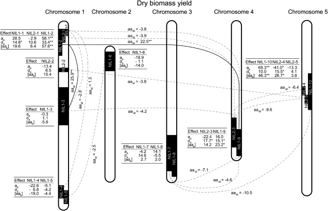 Figure 1.—