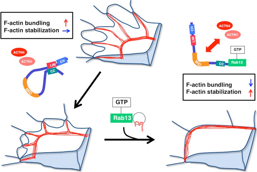 FIGURE 9.