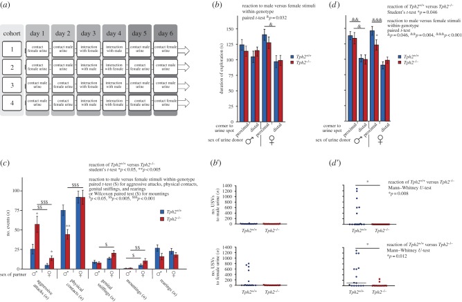 Figure 2.