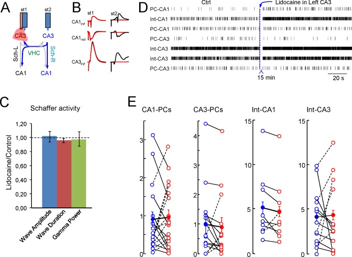 Figure 6—figure supplement 2.