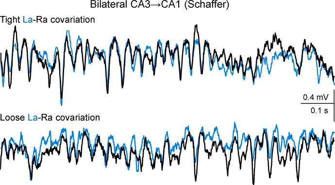 Figure 2—figure supplement 3.