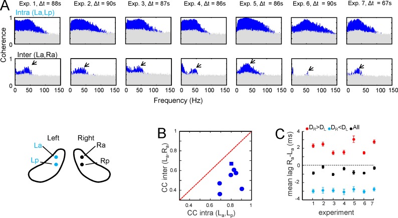 Figure 2—figure supplement 2.