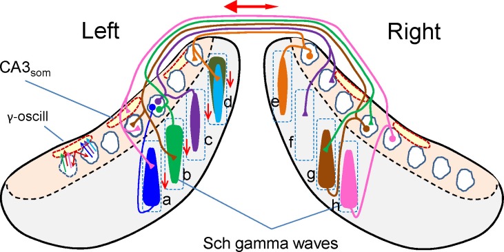 Figure 7.