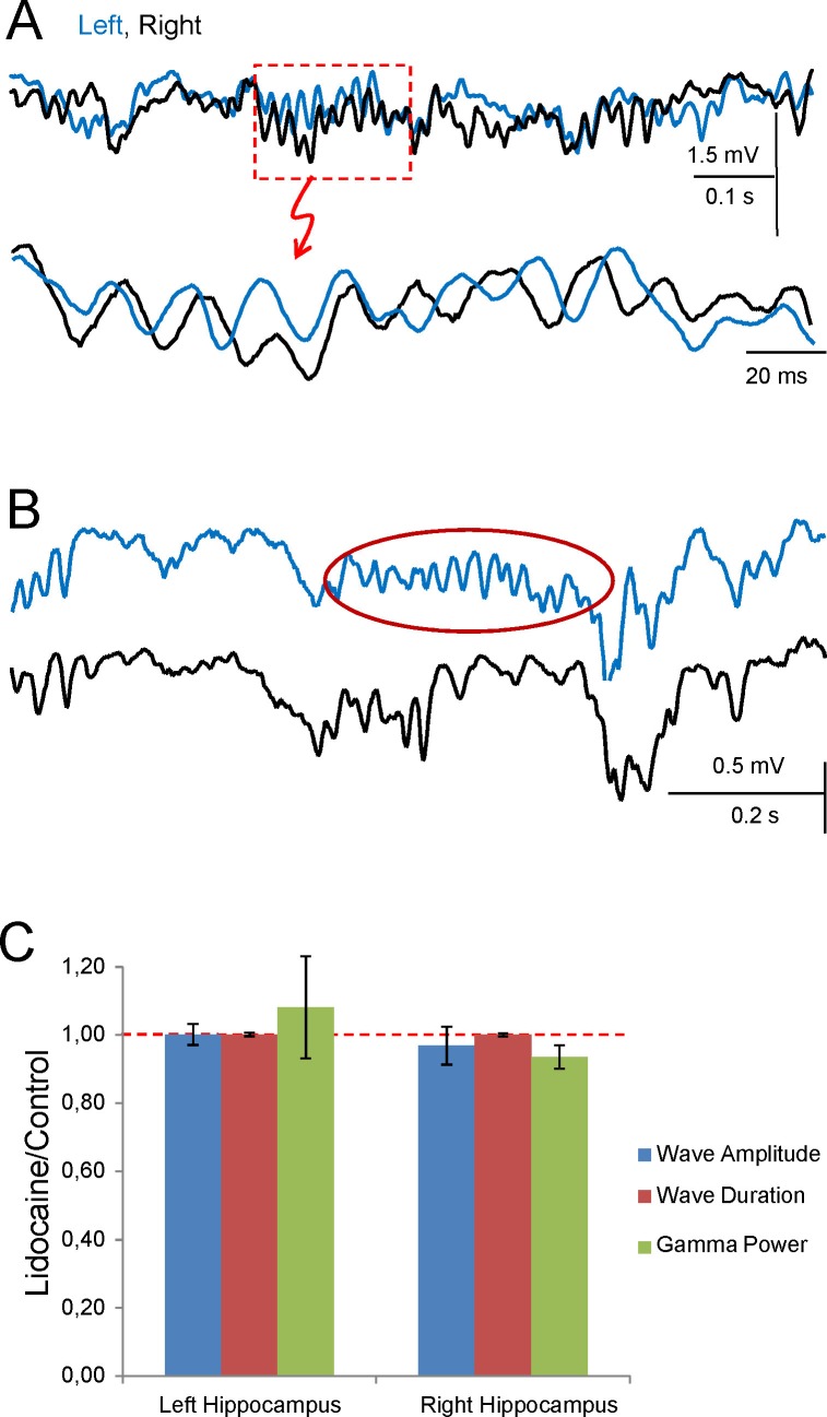 Figure 6—figure supplement 1.