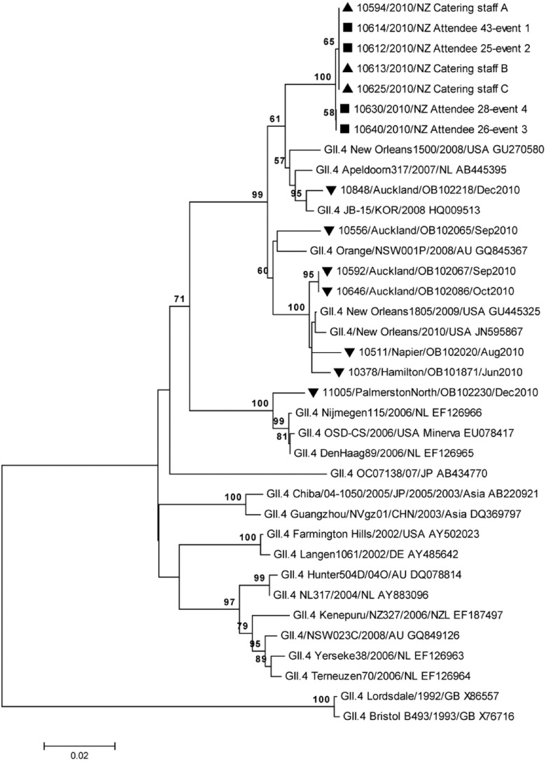 Fig. 3.