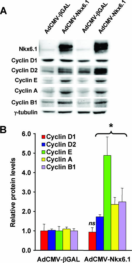 FIG. 5.