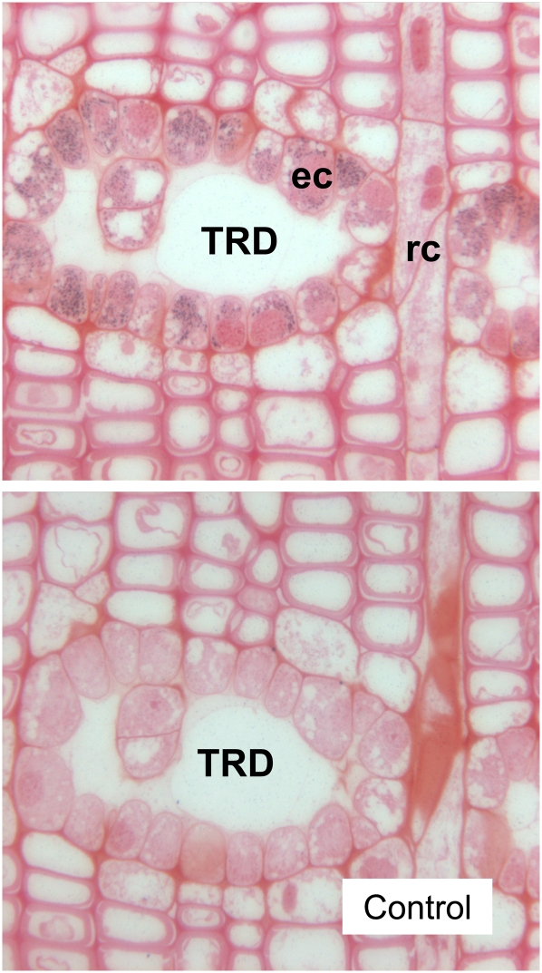 Figure 10.