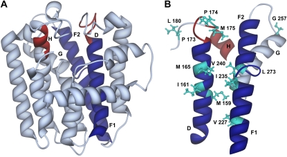 Figure 11.