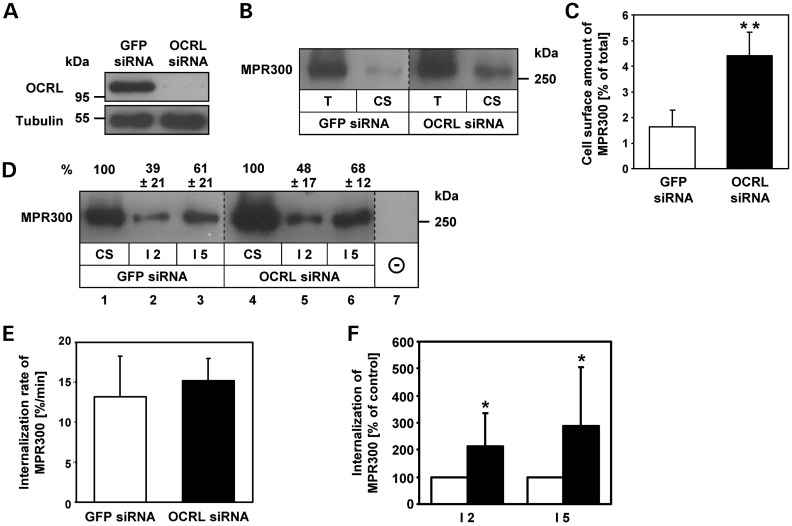 Figure 2.