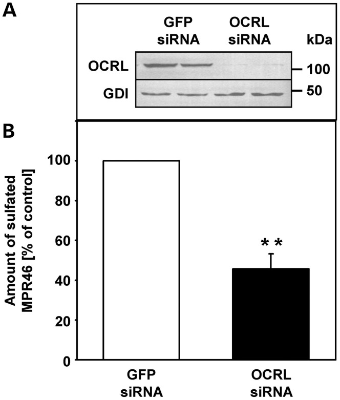 Figure 5.