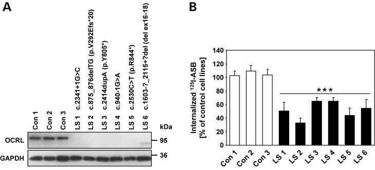 Figure 1.