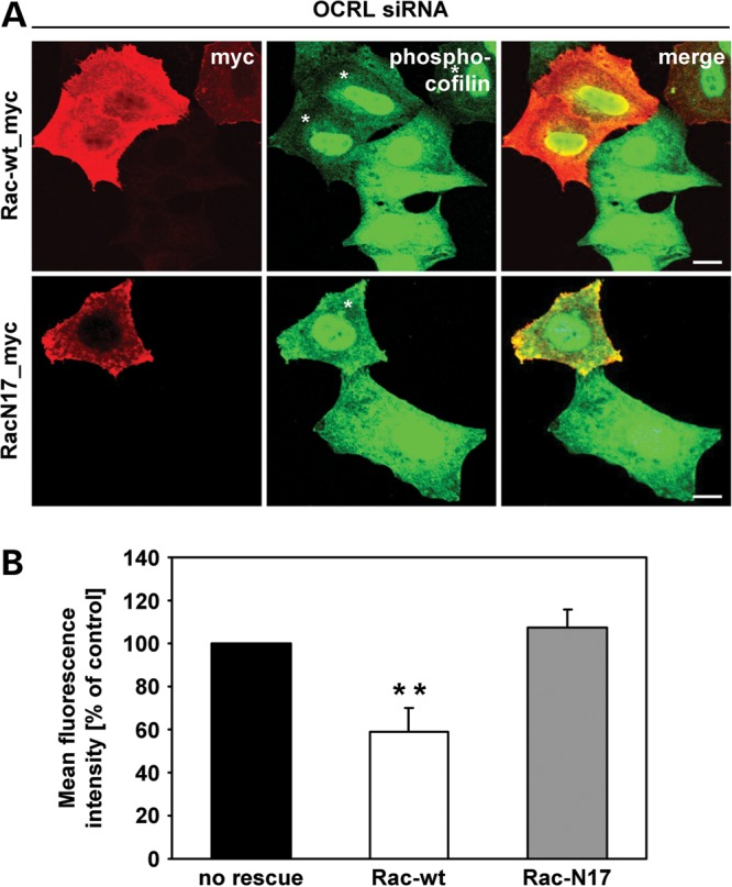 Figure 10.