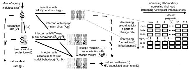 FIG. 1.