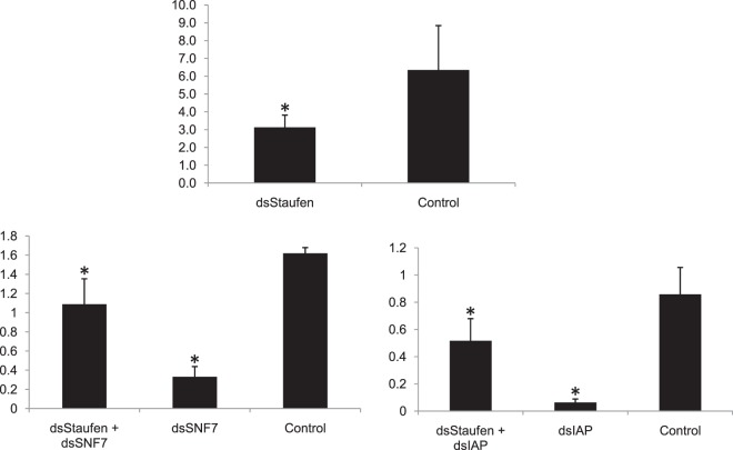 Figure 11