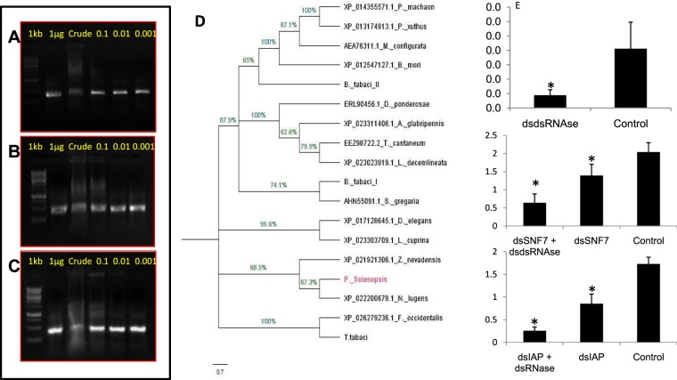 Figure 12