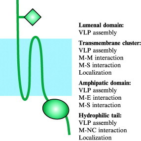 Fig 7