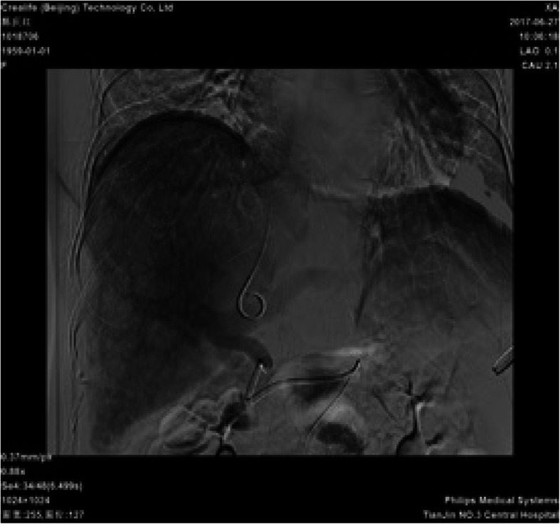 Fig. 5