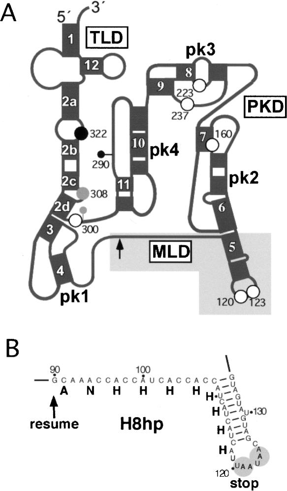 FIGURE 1.