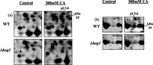 FIG. 8.