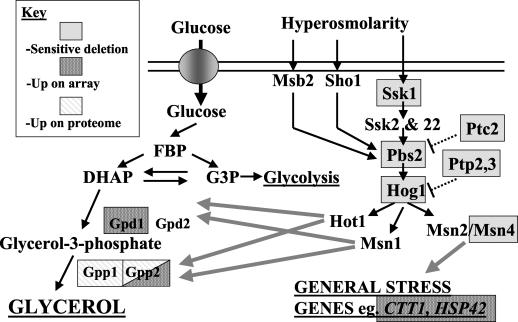 FIG. 9.