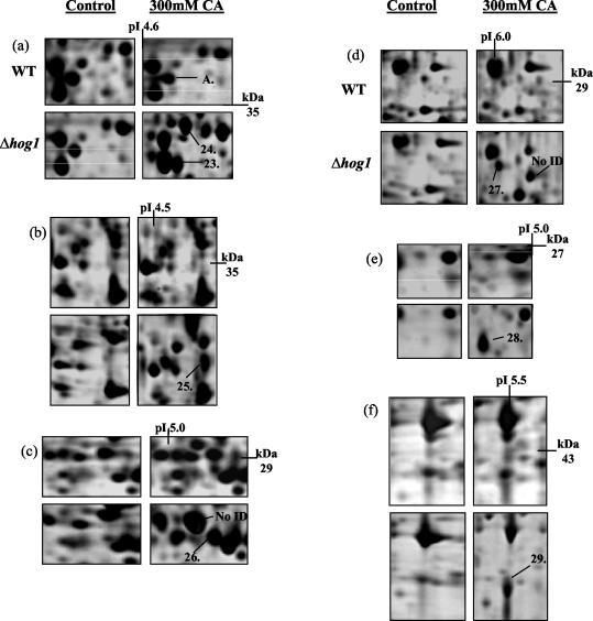 FIG. 7.