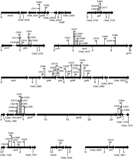 FIG 2