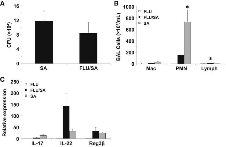 Figure 6