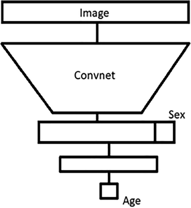 Figure 5: