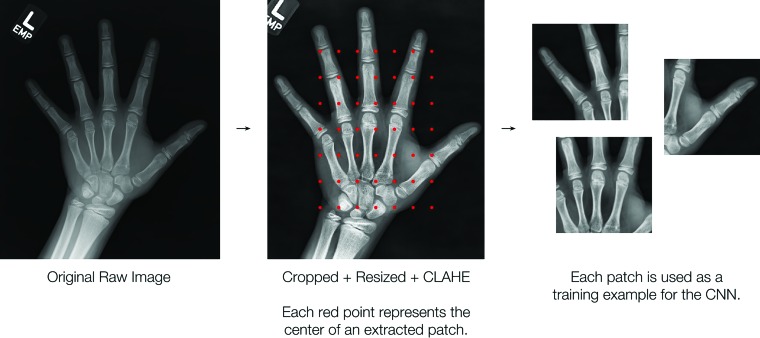 Figure 4: