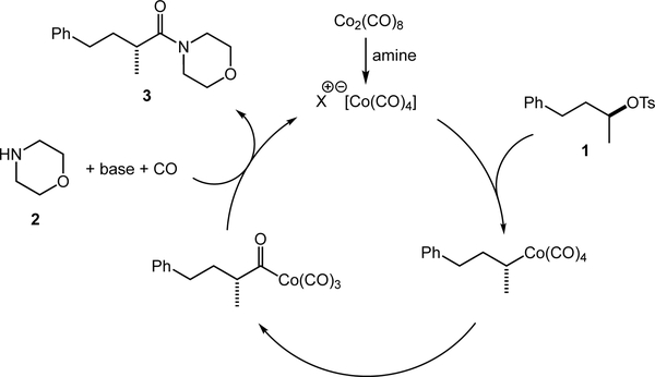 Scheme 1.