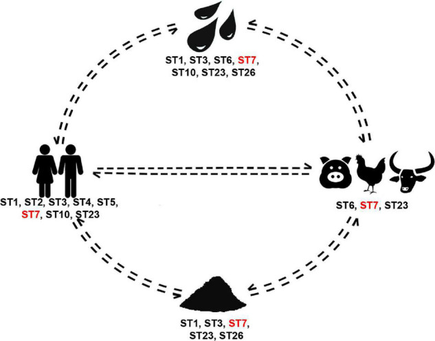 FIGURE 4