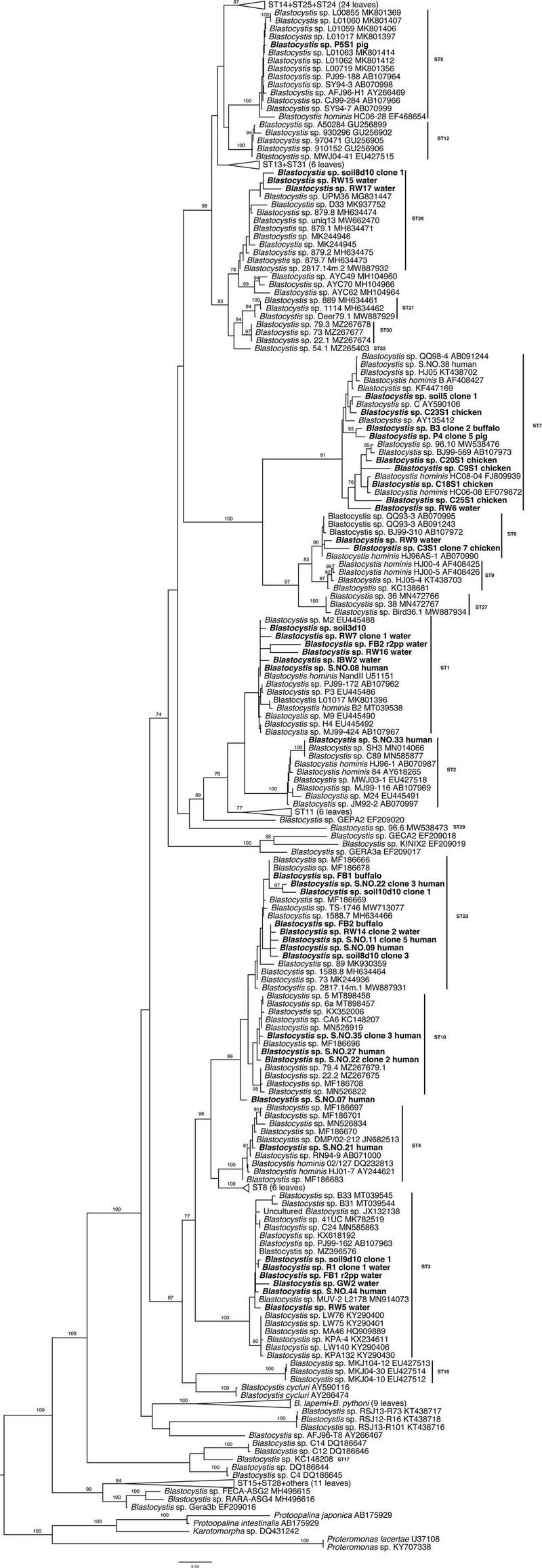 FIGURE 3