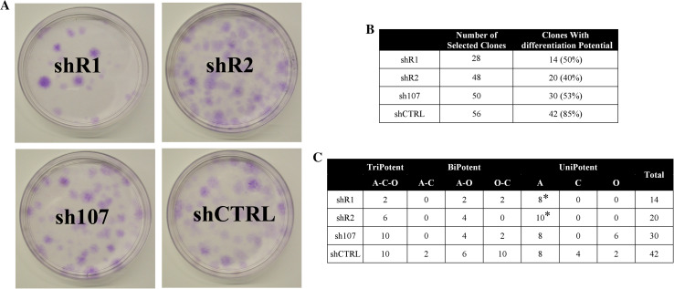 Fig. 4