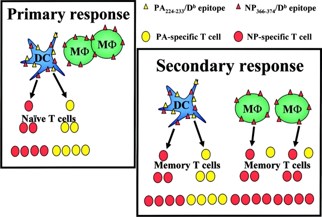 Figure 10.