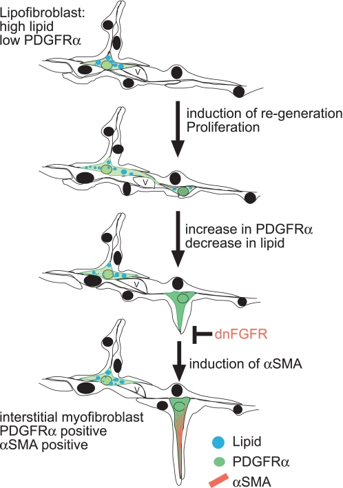 Fig. 8.