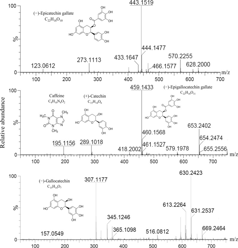 Fig. 2