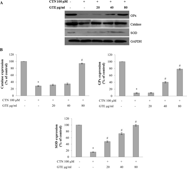 Fig. 10