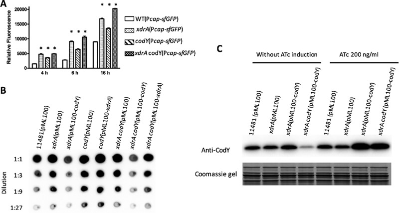 FIG 5