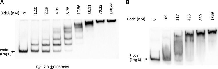 FIG 3