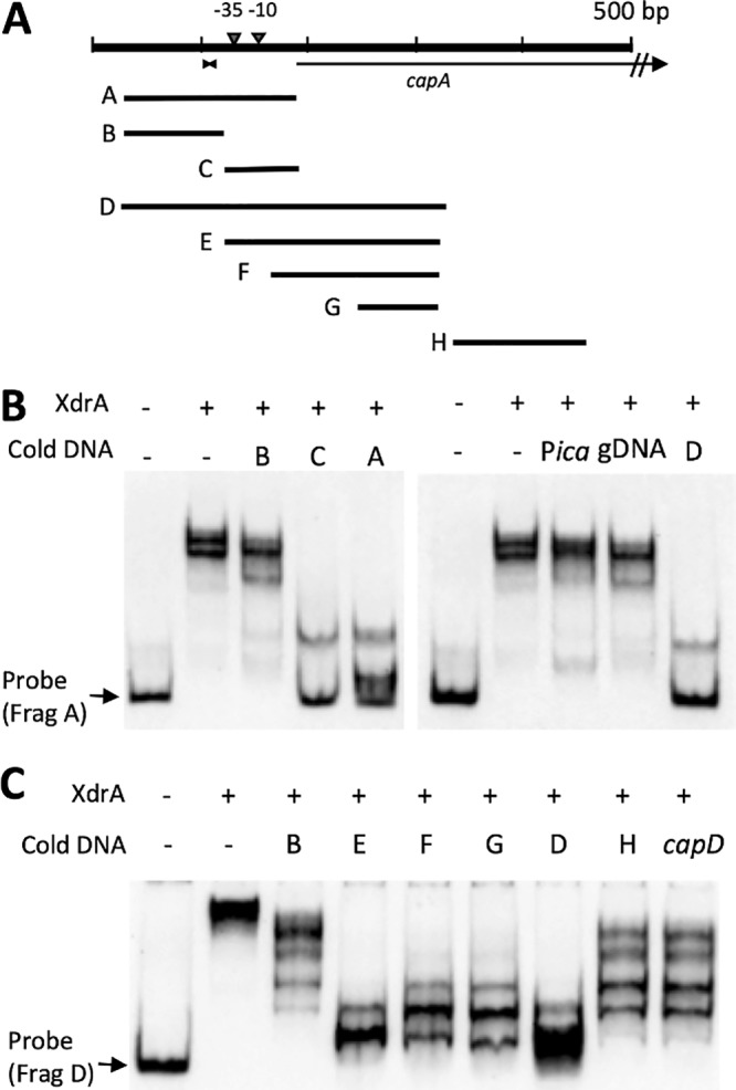 FIG 2