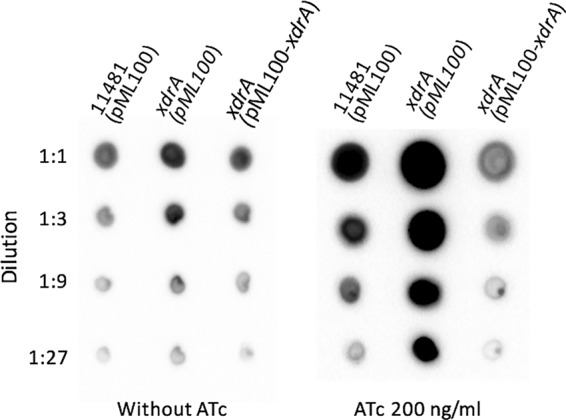 FIG 1